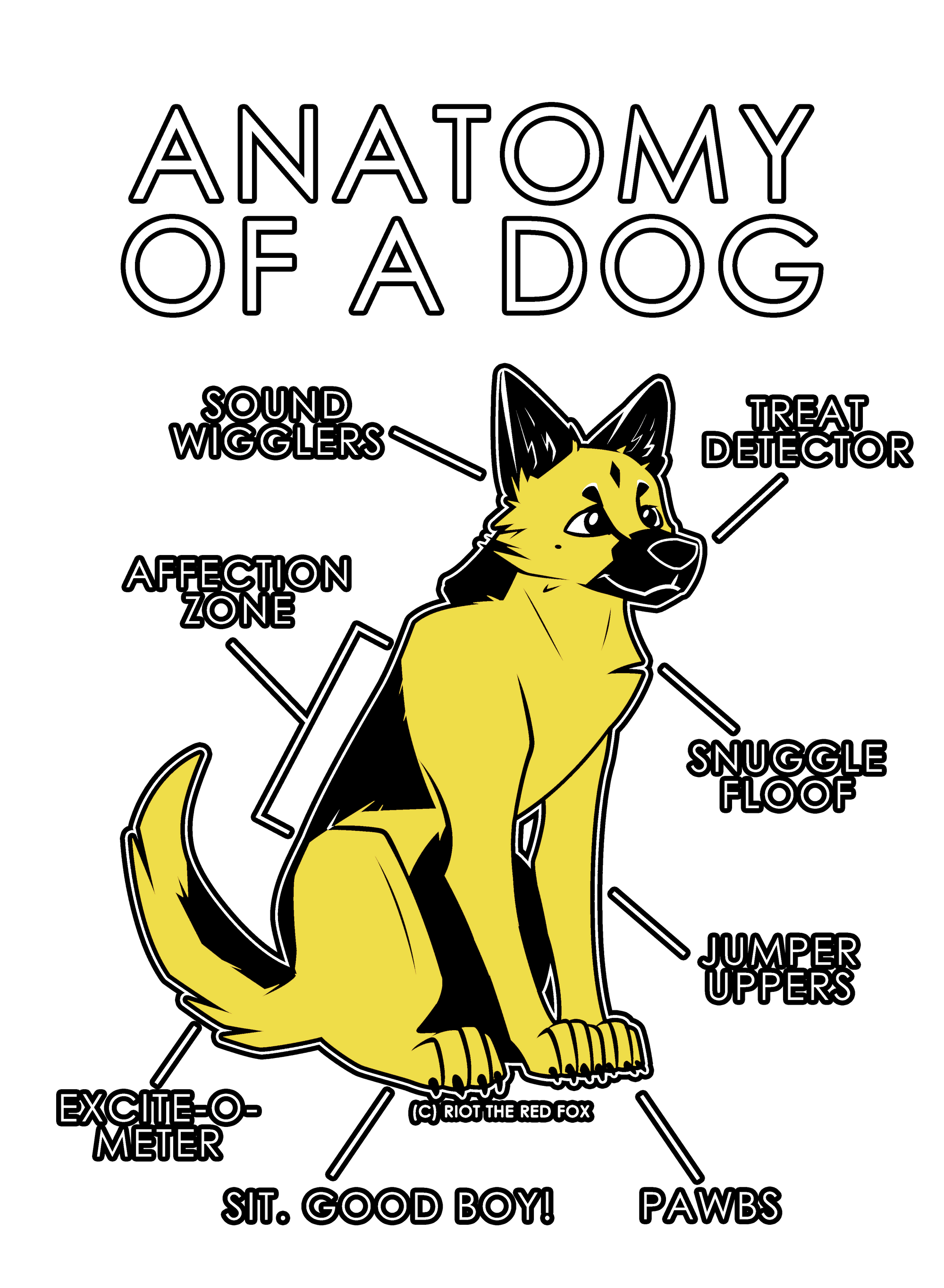 Anatomy Series - Gen 1 - Anatomy of a Dog - Yellow