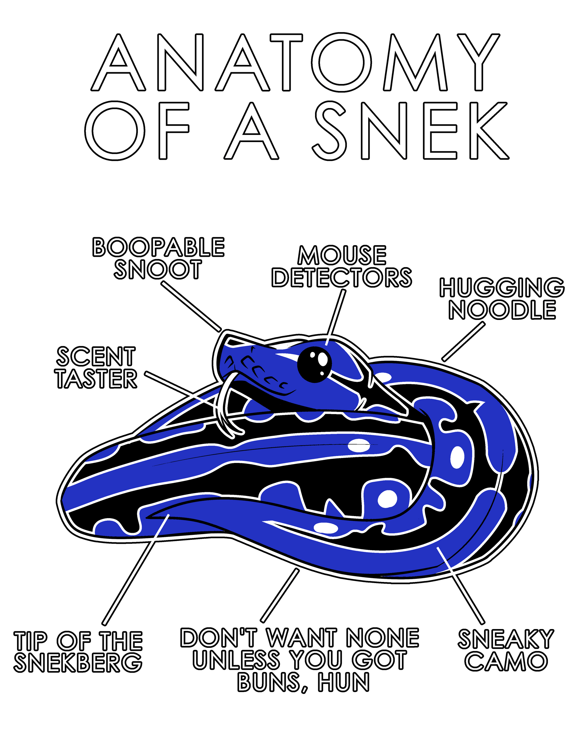 Anatomy Series - Gen 1 - Anatomy of a Snek - Blue