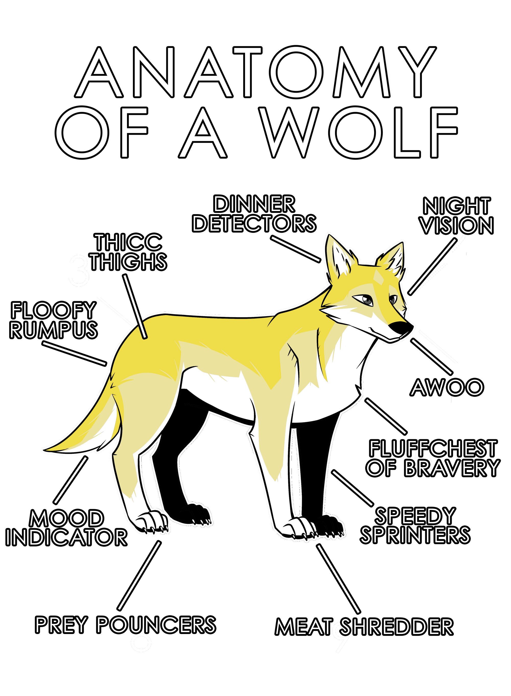 Anatomy Series - Gen 1 - Anatomy of a Wolf - Yellow