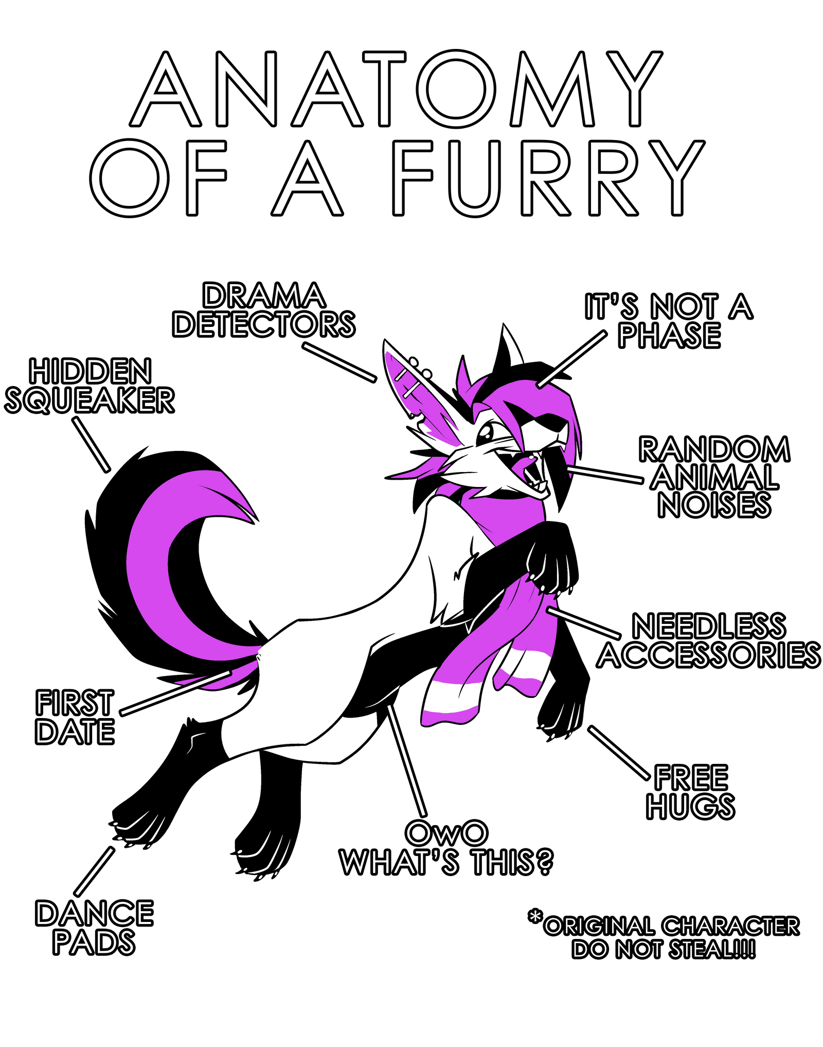 Anatomy Series - Gen 1 - Anatomy of a Furry - Pink