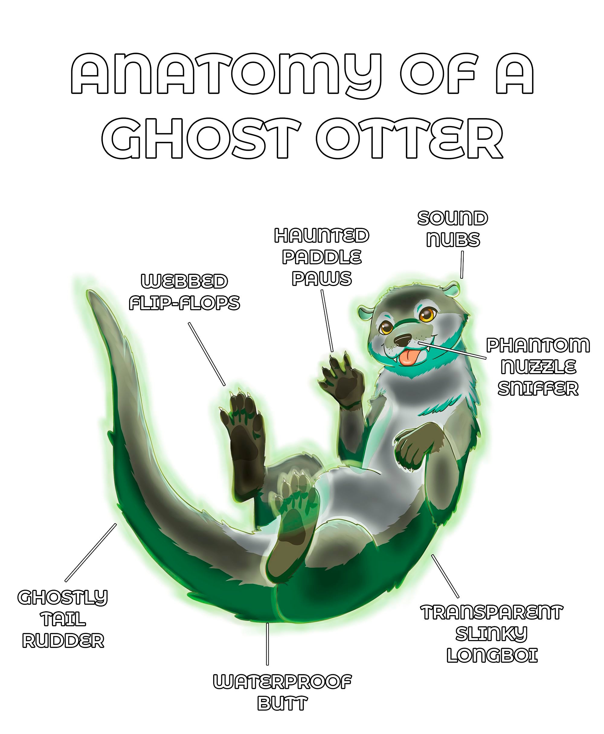 Anatomy Series - Gen 2 - Anatomy of an Otter - Ghost