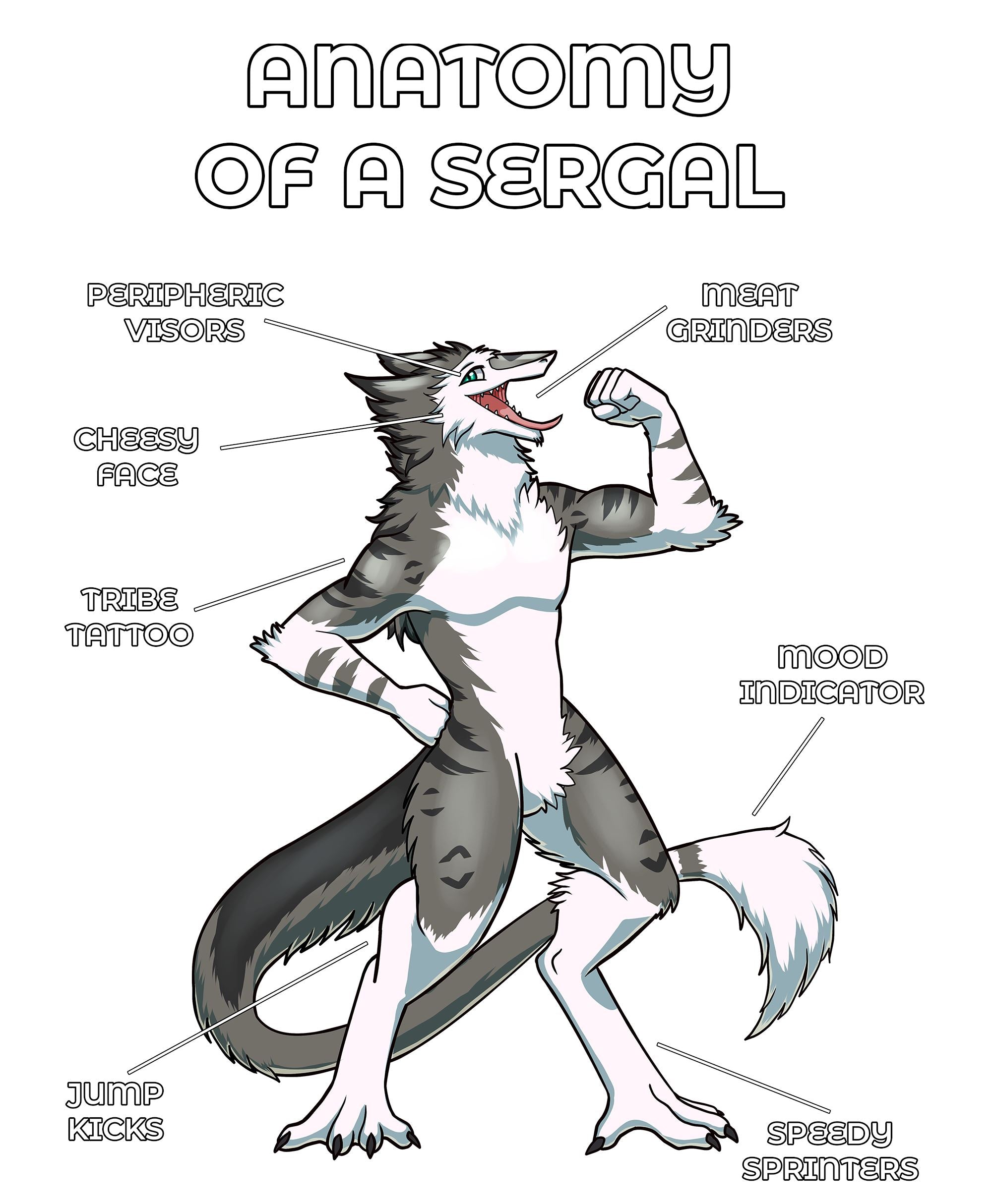 Anatomy Series - Gen 2 - Anatomy of a Sergal - Grey