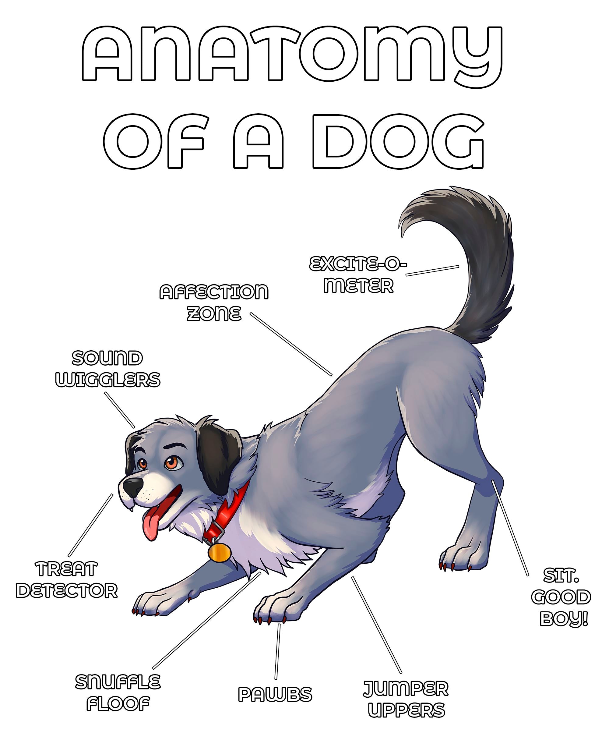 Anatomy Series - Gen 2 - Anatomy of a Dog - Grey