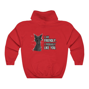 I probably DON'T hate you - Hoodie Hoodie Cyamallo Red S 