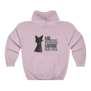 I probably DON'T hate you - Hoodie Hoodie Cyamallo Light Pink S 