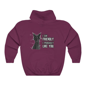 I probably DON'T hate you - Hoodie Hoodie Cyamallo Maroon S 