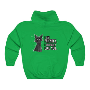 I probably DON'T hate you - Hoodie Hoodie Cyamallo Green S 